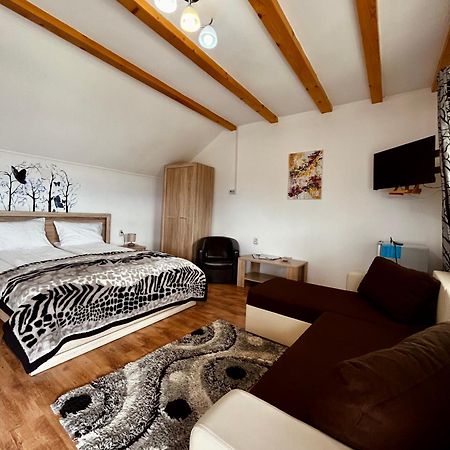 Vila Sofia Haţeg Exteriör bild