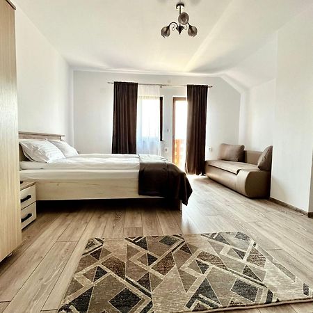 Vila Sofia Haţeg Exteriör bild