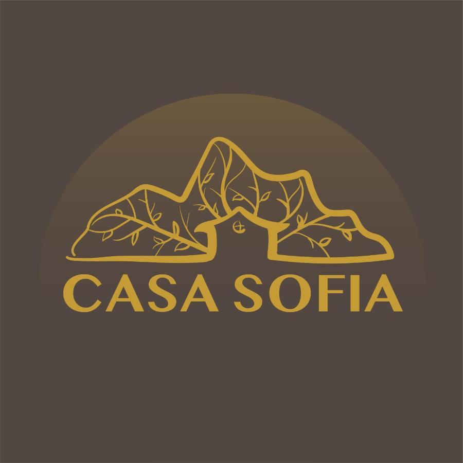 Vila Sofia Haţeg Exteriör bild