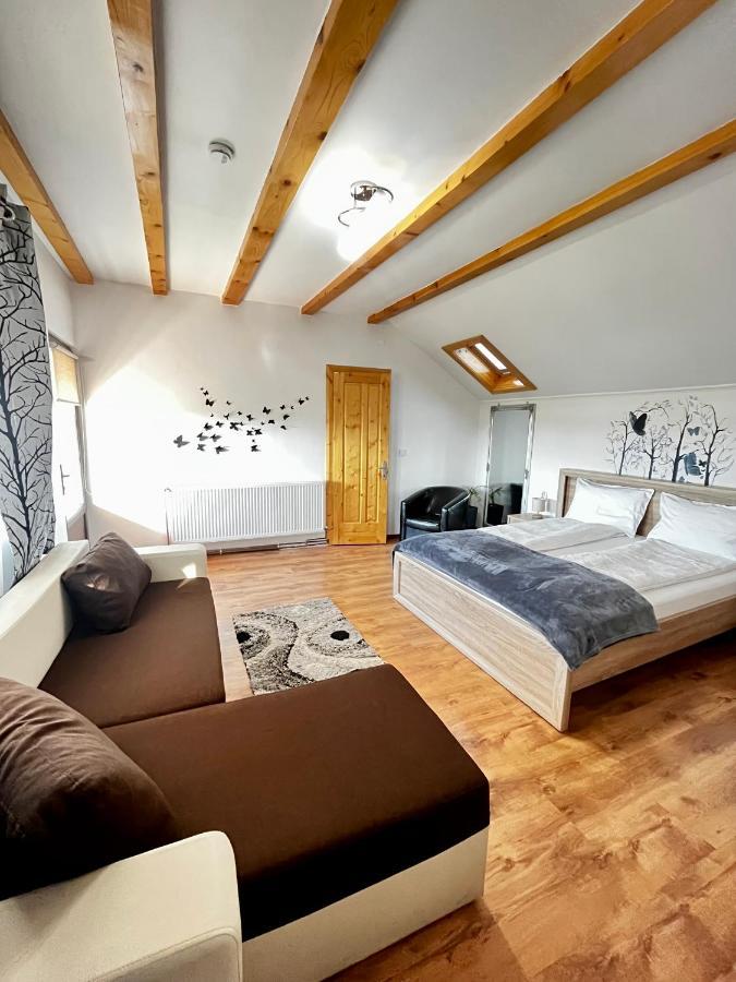 Vila Sofia Haţeg Exteriör bild