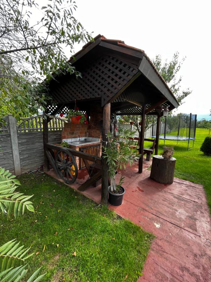 Vila Sofia Haţeg Exteriör bild