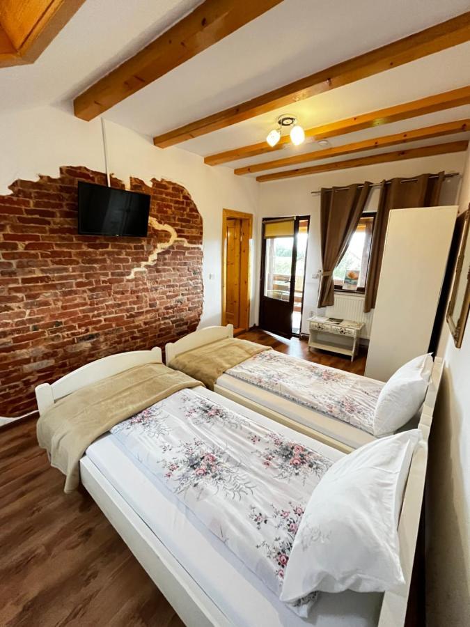 Vila Sofia Haţeg Exteriör bild