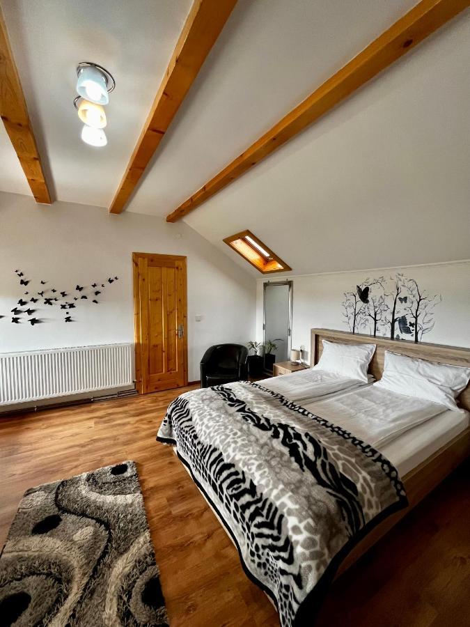 Vila Sofia Haţeg Exteriör bild
