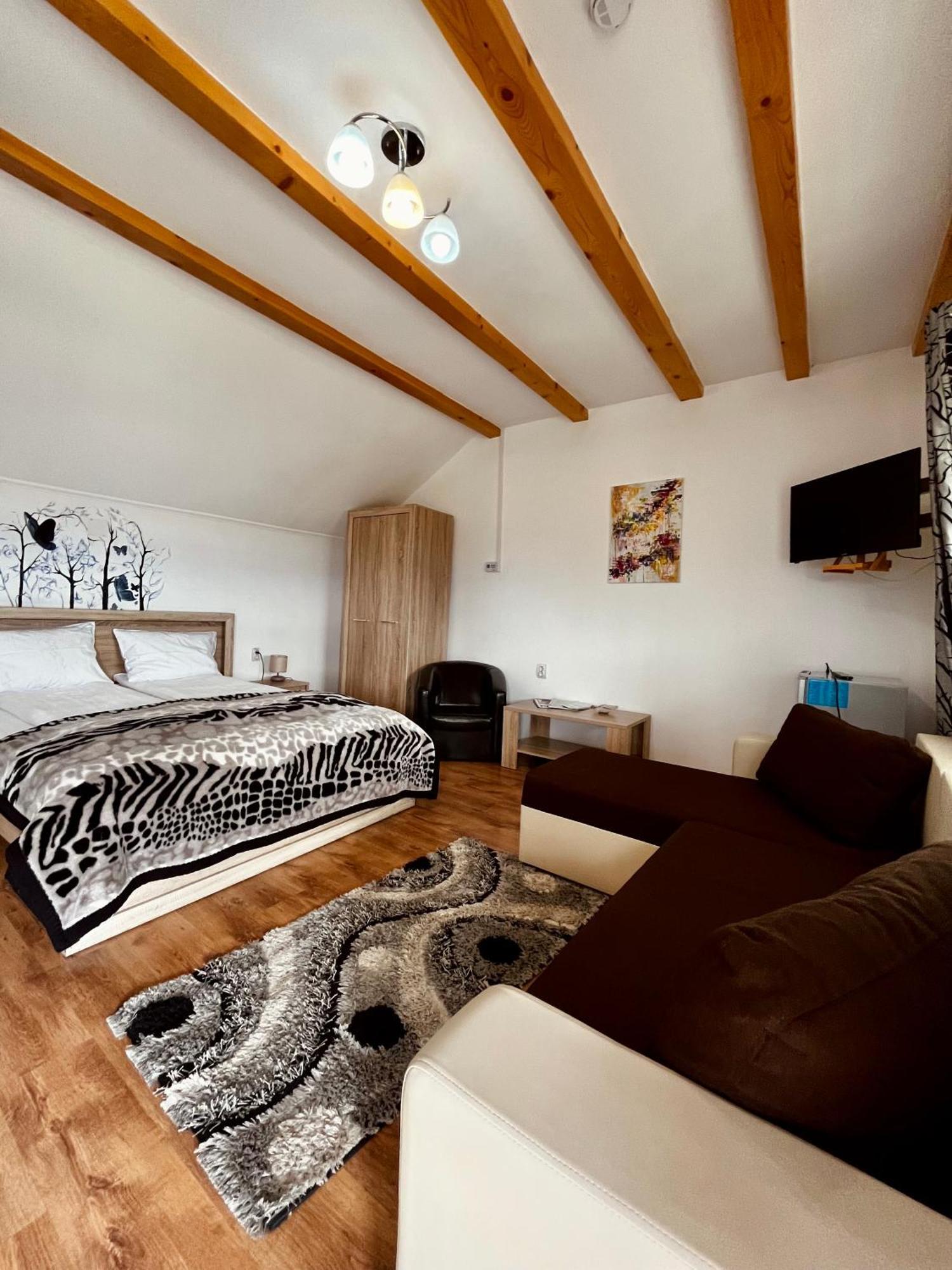 Vila Sofia Haţeg Exteriör bild