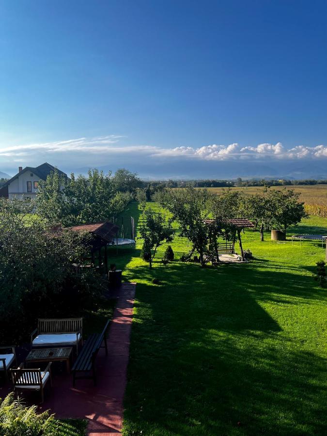 Vila Sofia Haţeg Exteriör bild