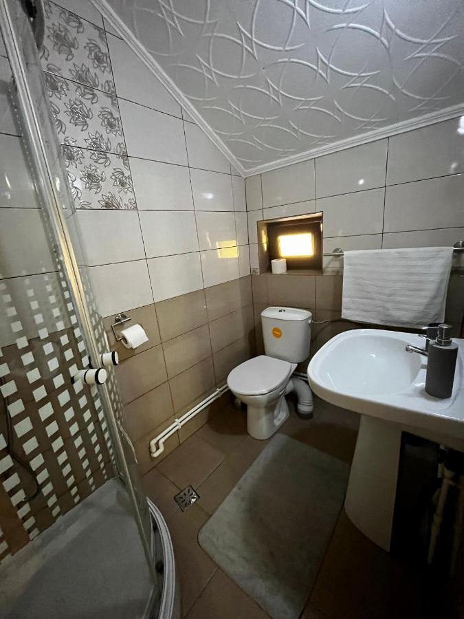 Vila Sofia Haţeg Exteriör bild