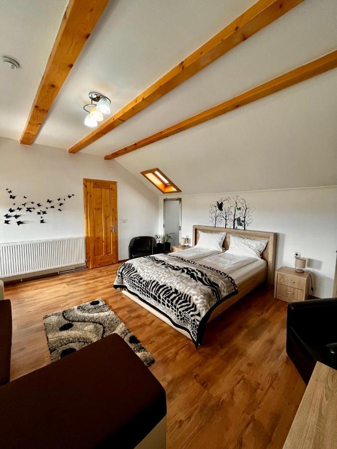 Vila Sofia Haţeg Exteriör bild