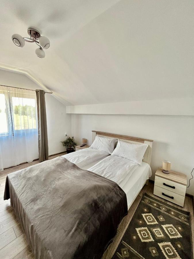Vila Sofia Haţeg Exteriör bild