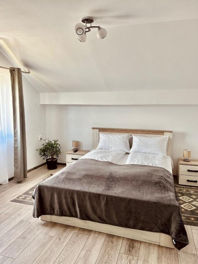 Vila Sofia Haţeg Exteriör bild