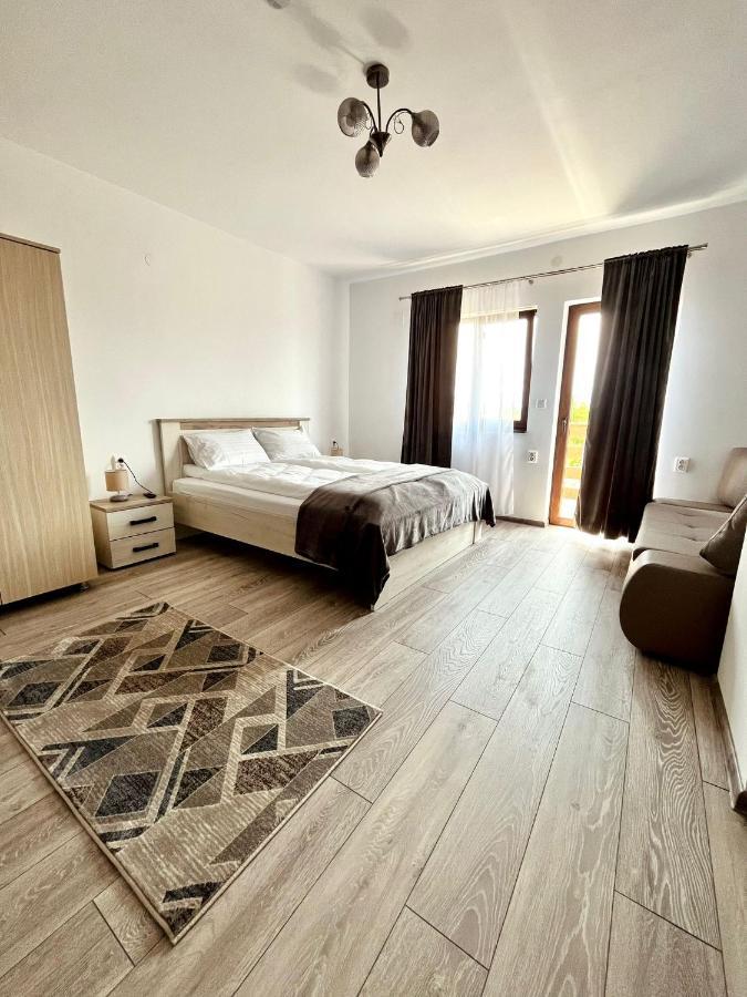 Vila Sofia Haţeg Exteriör bild