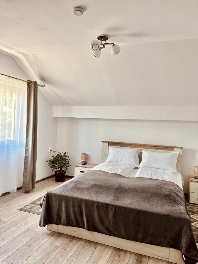 Vila Sofia Haţeg Exteriör bild